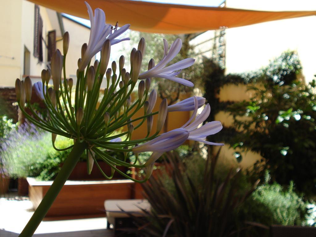 B&B Guerrazzi Pise Extérieur photo