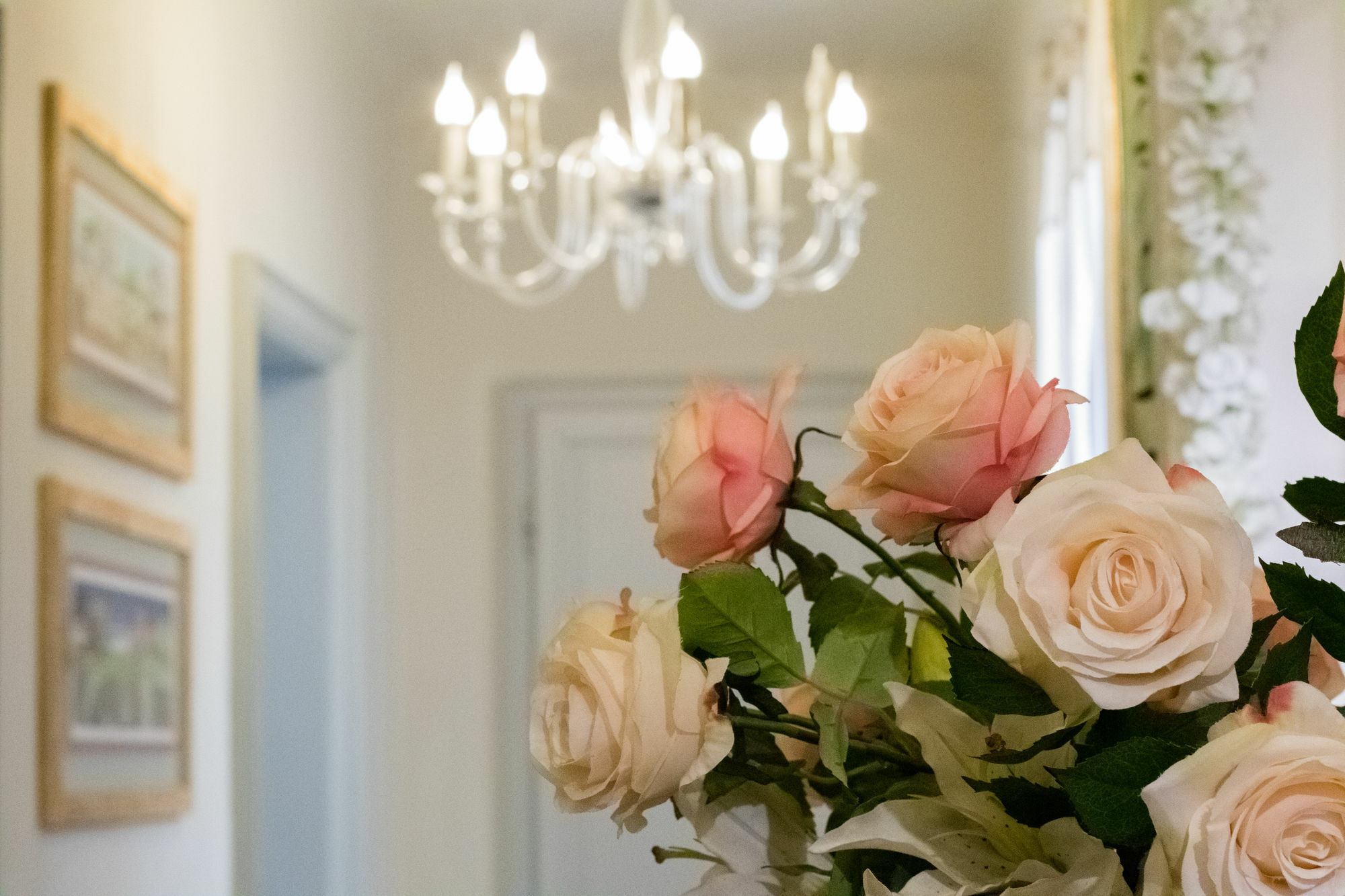 B&B Guerrazzi Pise Extérieur photo